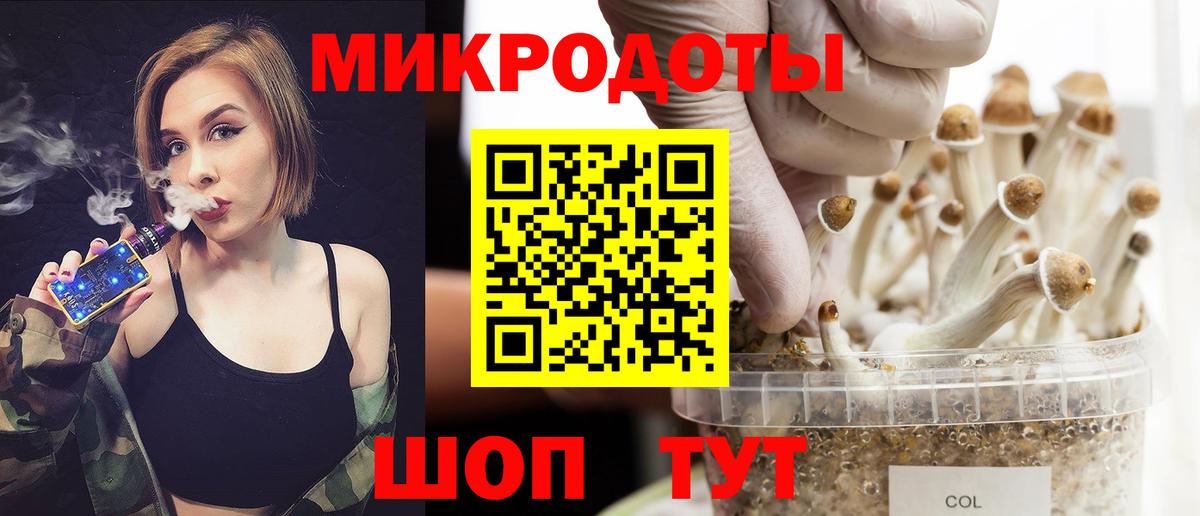 Галлюциногенные грибы мухоморы  Вход с VPN  Псилоцибиновые грибы мицелий  купить наркотики сайты  Заволжье 